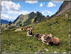 foto Forcella di Val Moena